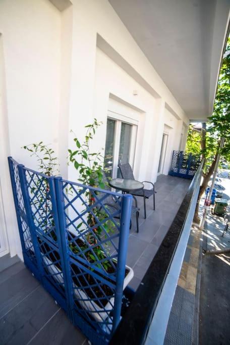 Coloris Caeruleus Thessaloniki