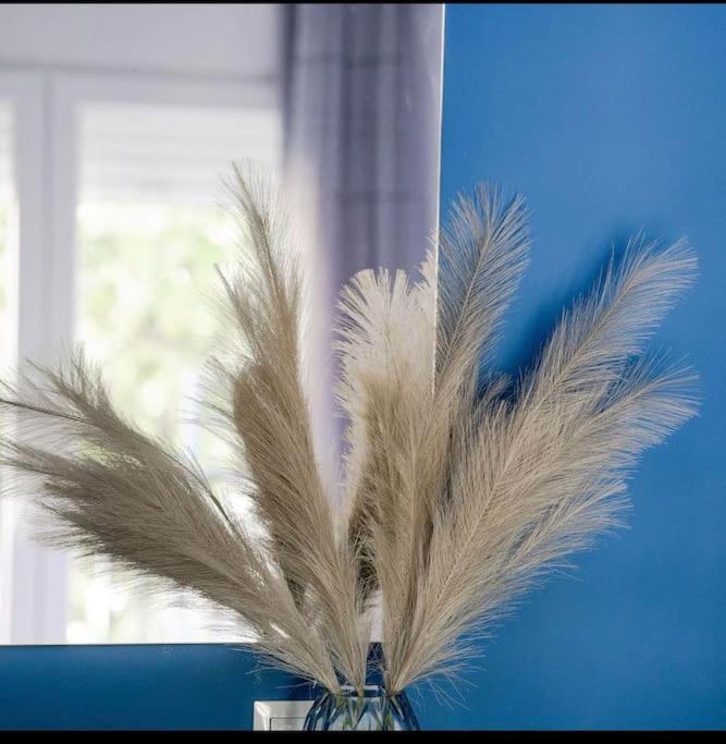 Coloris Caeruleus Apartment